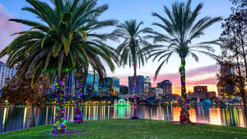reflection, palm, arecales, united states, palm tree, lake, peninsula, usa, city, plant, lake eola park peninsula, palms, florida, landscape, sky, lake eola