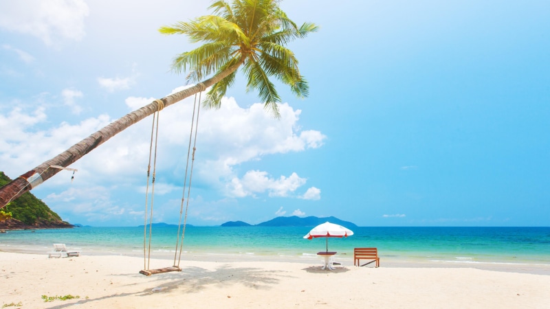 swing, shore, scenics - nature, exotic, coconut palm tree, tranquility, land, sunny day, sandy beach, tranquil scene, beauty in nature, day, sky, rope swing