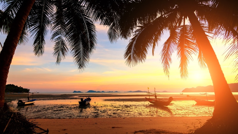 thailand, tree, sunlight, gulf of thailand, palms, palm, beauty in nature, sea, tropics, scenics - nature, nautical vessel, plant, shore, tropical climate