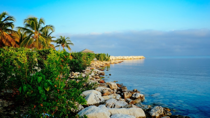 nature, beach, water, scenics - nature, summertime, plant, shore, sea, montego bay, vacation, horizon over water, day, tranquility, coast, rocky coastline