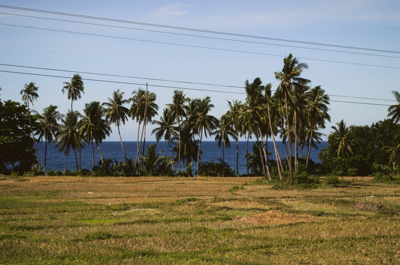 land, beach, connection, sky, arecales, rural area, no people, palm family, electricity pylon, landscape, power supply, tropical climate, power line, coast