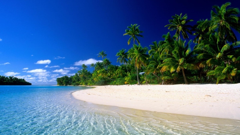 coast, tropical tree, tranquility, shore, swimming pool, land, plant, beach, sand, travel destinations, sea, vacation, daytime, coconut palm tree, summer