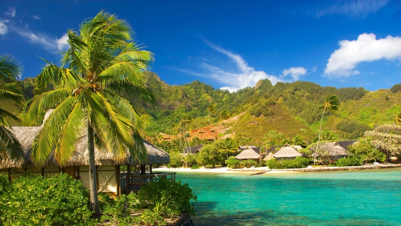coast, arecales, turquoise colored, palm, beach, bungalow, tree, blue sky, sea, no people, tranquility, cloud - sky, summer, nature, tranquil scene, resort