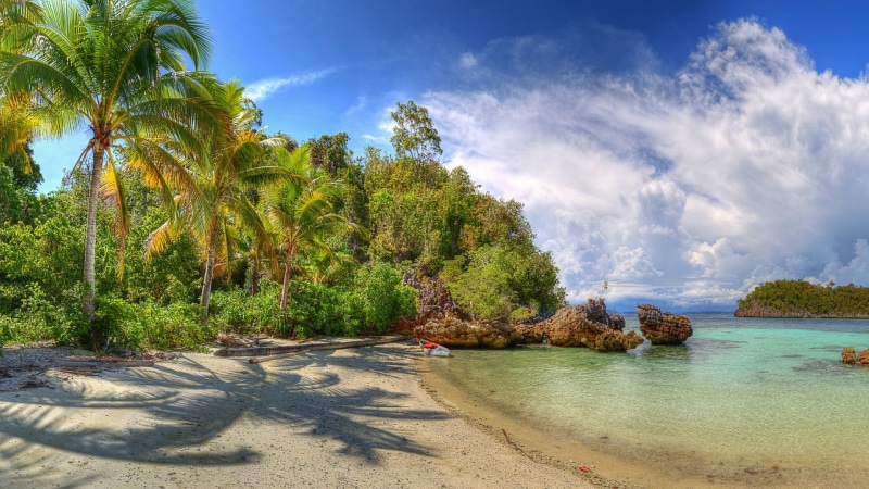 arecales, tropical climate, sea, nature, land, sky, sunlight, scenics - nature, tree, tranquility, no people, beauty in nature, coconut palm tree, growth