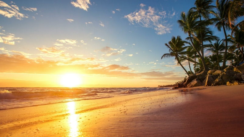 sky, morning, sun, afterglow, tropics, sunrise, palm, palm tree, beach, arecales, sunlight, tropical, 4K, shore, horizon, cloud, sea