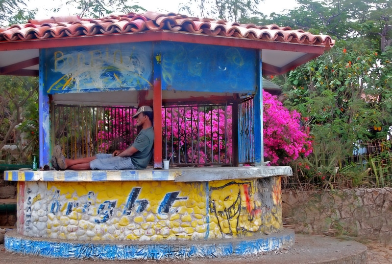 lazy, sleep, nature, holiday, island, tree, leisure activity, flower, architecture, nap, small business, one person, creativity, art and craft, hdr, netherlands antilles