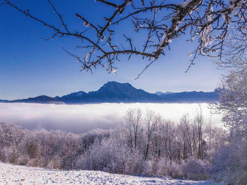 winter, 4K, gmunden, non-urban scene, tree, environment, landscape, scenics - nature, mountains, snowcapped mountain, sky, traunstein, beauty in nature