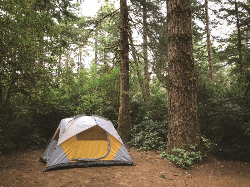 exploration, outdoors, beauty in nature, outside, trunk, adventure, mountain tent, dome, tree trunk, 5427 canary rd, exploring, winter, pacific northwest
