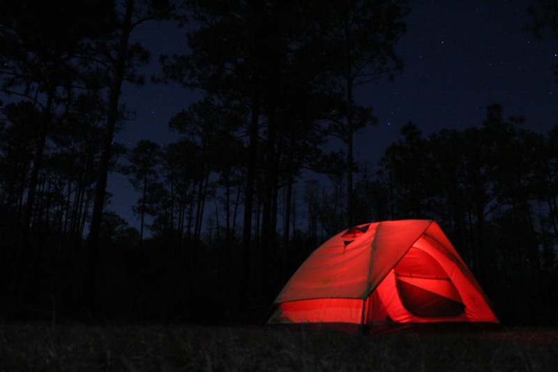 calm, tree, dome, nighttime, pine tree, nature, illuminated, tent, outdoors, dark, colt, woodland, solitude, camping, mystery, night time camping, scenics - nature