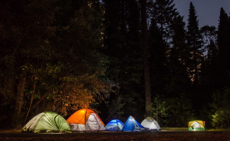 720P, forest, camp, growth, campsite, dark, travel, woods, leisure activity, scenics - nature, plant, night, land, no people, tree, field, lights, relaxation
