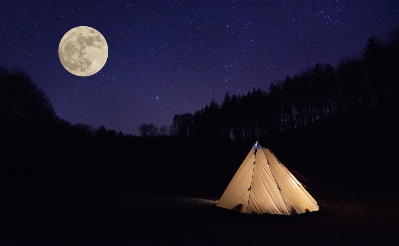 full moon, space, plant, night, shape, space and astronomy, month, moon, beauty in nature, dark, scenics - nature, tree, astrology, star - space, nature