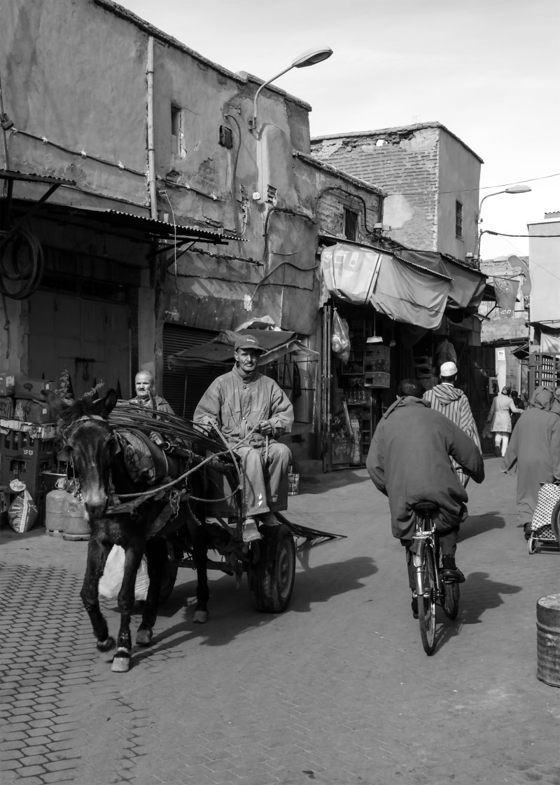 riding, traditional, working animal, mode of transport, city, mode of transportation, horse cart, built structure, domestic animals, domestic, tourism