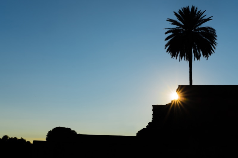 low angle view, spain, sunset, nature, medina azahara - conjunto arqueológico madinat al-zahra, ruins, building, landscape, lens flare, palace, plant, sun