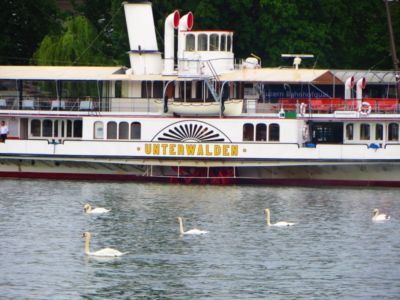 Switzerland, boat, water, Luzern, Swan, 4K