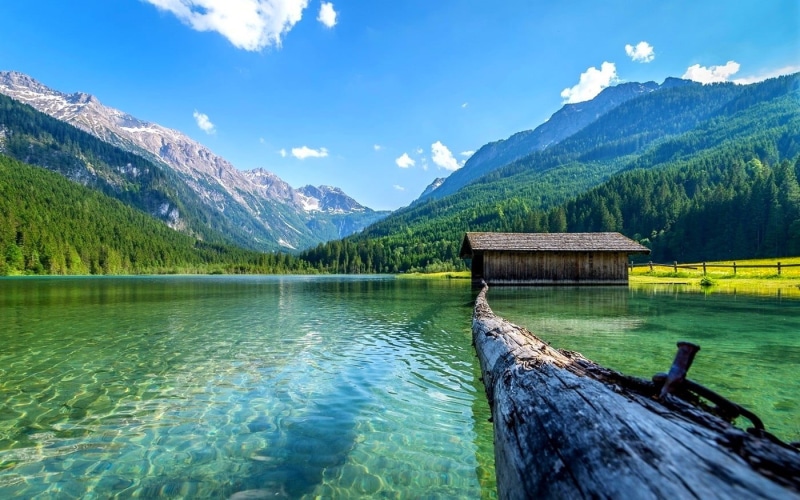 non-urban scene, day, forest, plant, nature, log, sky, tranquil scene, water, Austria, boathouses, summer, mountain, cloud - sky, idyllic, green, 720P