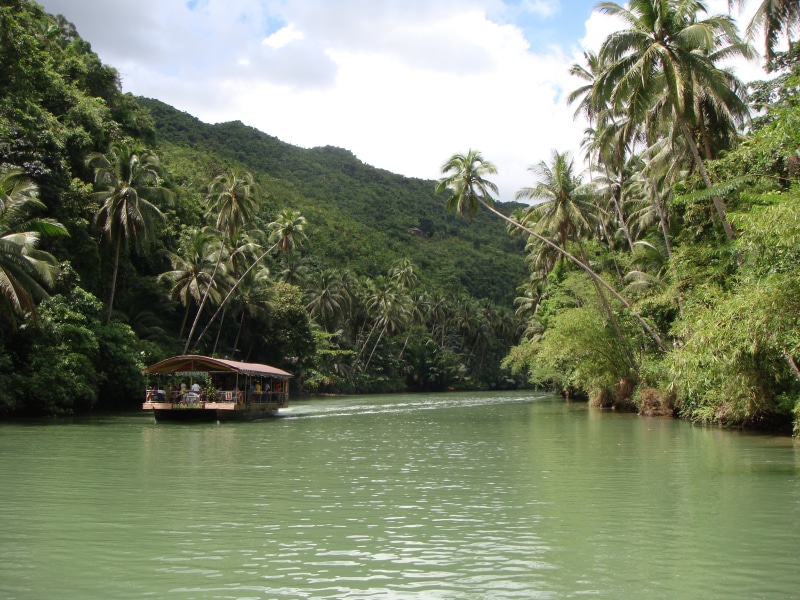 daytime, no people, 2K, plant, scenic, nature, palm tree, mountain, waterfront, forest, sky, transportation, tranquility, brown, boat, cloud - sky, bohol