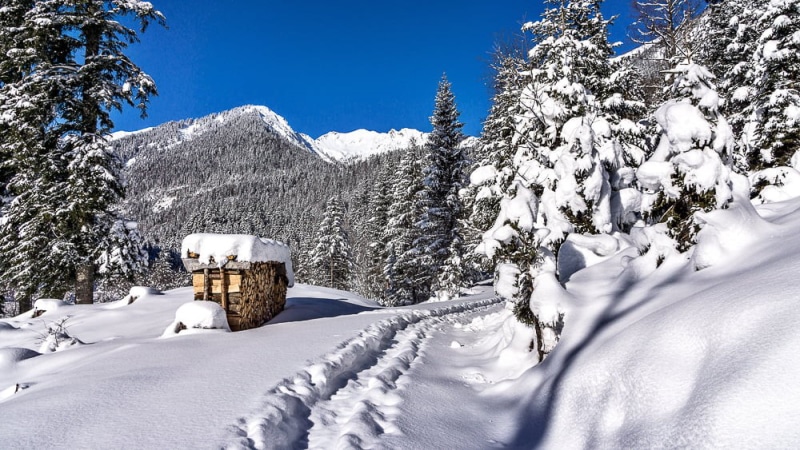 cold - Temperature, covered, outdoors, snow, tree, european Alps, ice, mountain, photo, winter, shed, nature, landscape, 480P, frost, forest