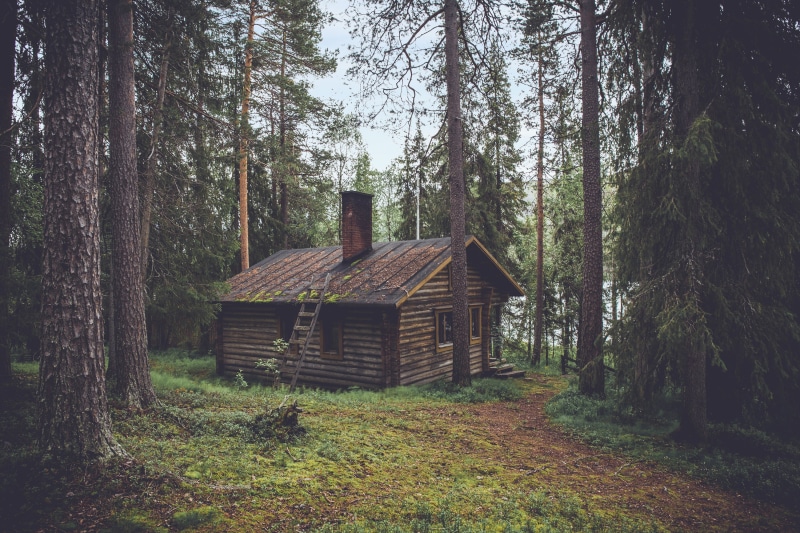 cottage, plant, woodland, house, tranquil scene, brown, lonely, hut, wood house, grass, outbuilding, architecture, outdoors, beauty in nature, outdoor