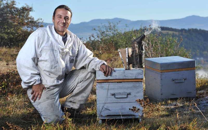 nature, person, field, land, 1080P, smiling, insect, looking at camera, shed, building, plant, apiary, structure, apiculture, animal wildlife, men, animals in the wild