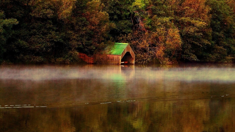 architecture, tree, beauty in nature, 1080P, vertebrate, pond, plant, autumn, no people, change, park, boathouse, ocean, tranquility, landscape, canoe