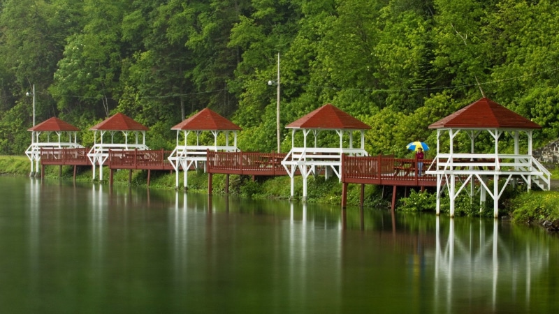 1080P, waterfront, architecture, water, shed, no people, reflection, structure, beauty in nature, nature, house, outdoors, plant, outbuilding, green color
