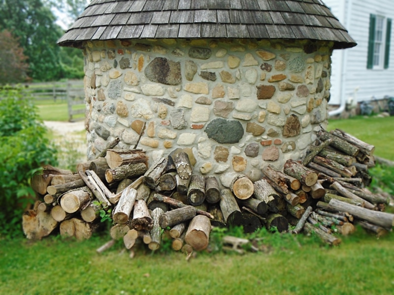 5K, mushroom, tree, wood, architecture, nature, focus on foreground, growth, land, outbuilding, forest, outdoors, close-up, log, built structure, timber