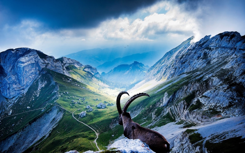 wallpapers, hd, switzerland, 4K, pilatus, landscape, mountain, nature