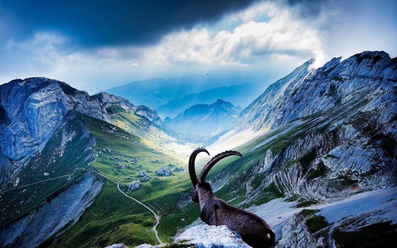 2K, pilatus, mount