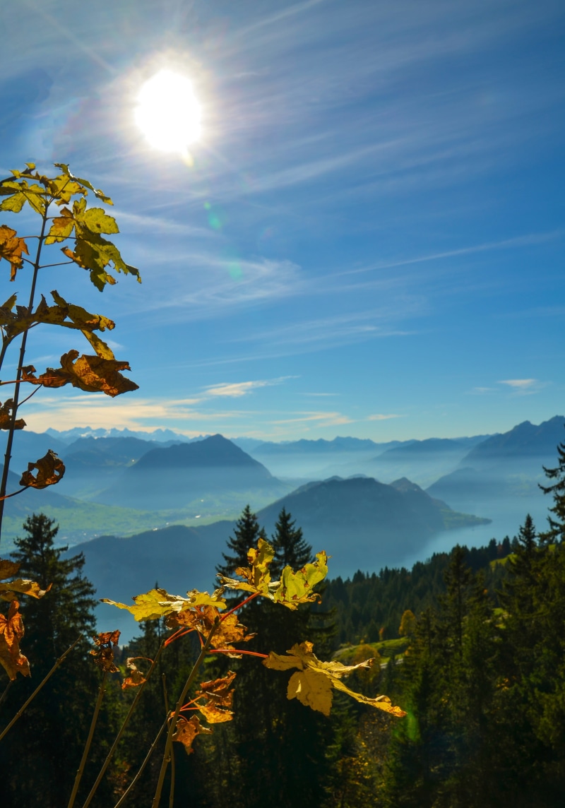 cloud - sky, mist, beauty in nature, 4K, yellow, autumn, distance, tranquility, central switzerland, mountain meadow, sky, scenics - nature, sun, tranquil scene
