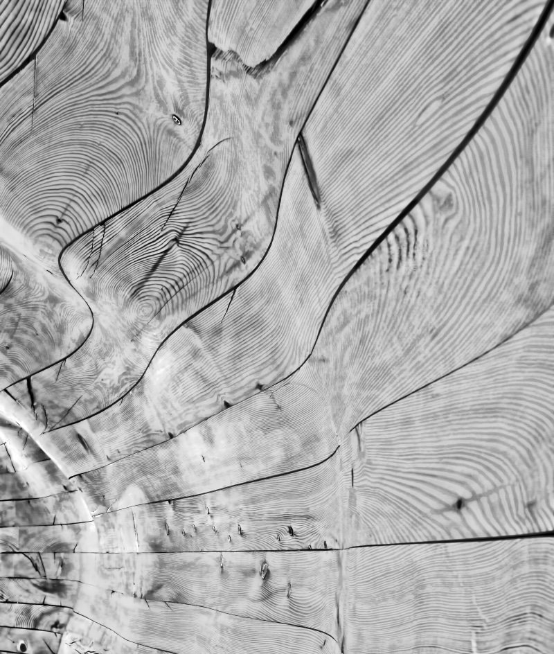 concentric, tree, mount pilatus, wood - material, wall - building feature, curves, plant, close-up, textures, pine, pattern, switzerland, tree ring, outdoors