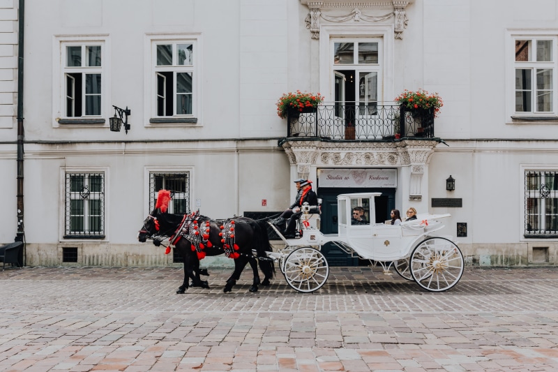 outdoors, karkow, day, horsedrawn, pets, herbivorous, domestic, 5K, animal themes, polska, magic, domestic animals, architecture, building, land vehicle