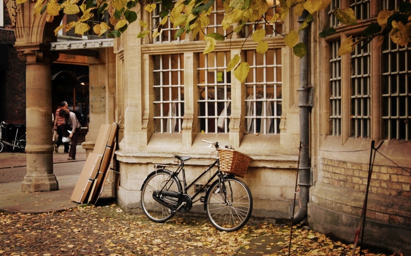outdoors, day, city, street, urban, bicycle, travel, transportation, window, built structure, people, architecture, fall, mode of transportation, building
