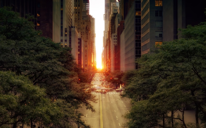 building, sunset, cityscape, urban, 1080P, New York City, landscape, street, road, city, photography, trees, sky