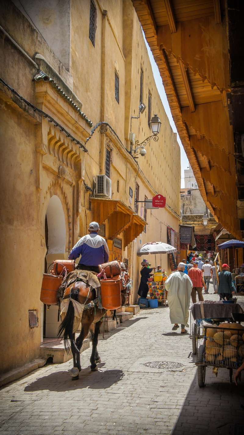 carriage, rear view, mammal, day, mode of transportation, person, lifestyles, road, city, animal, people, men, man, crowd, transportation, morocco, built structure