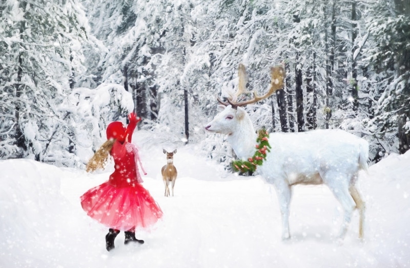 Snowflakes, pines, land, snowing, happiness, Girl, newyear, Beautiful, reddress, Reindeer, Children, motion, Forest, Outdoor, child, nature, plant, Magic