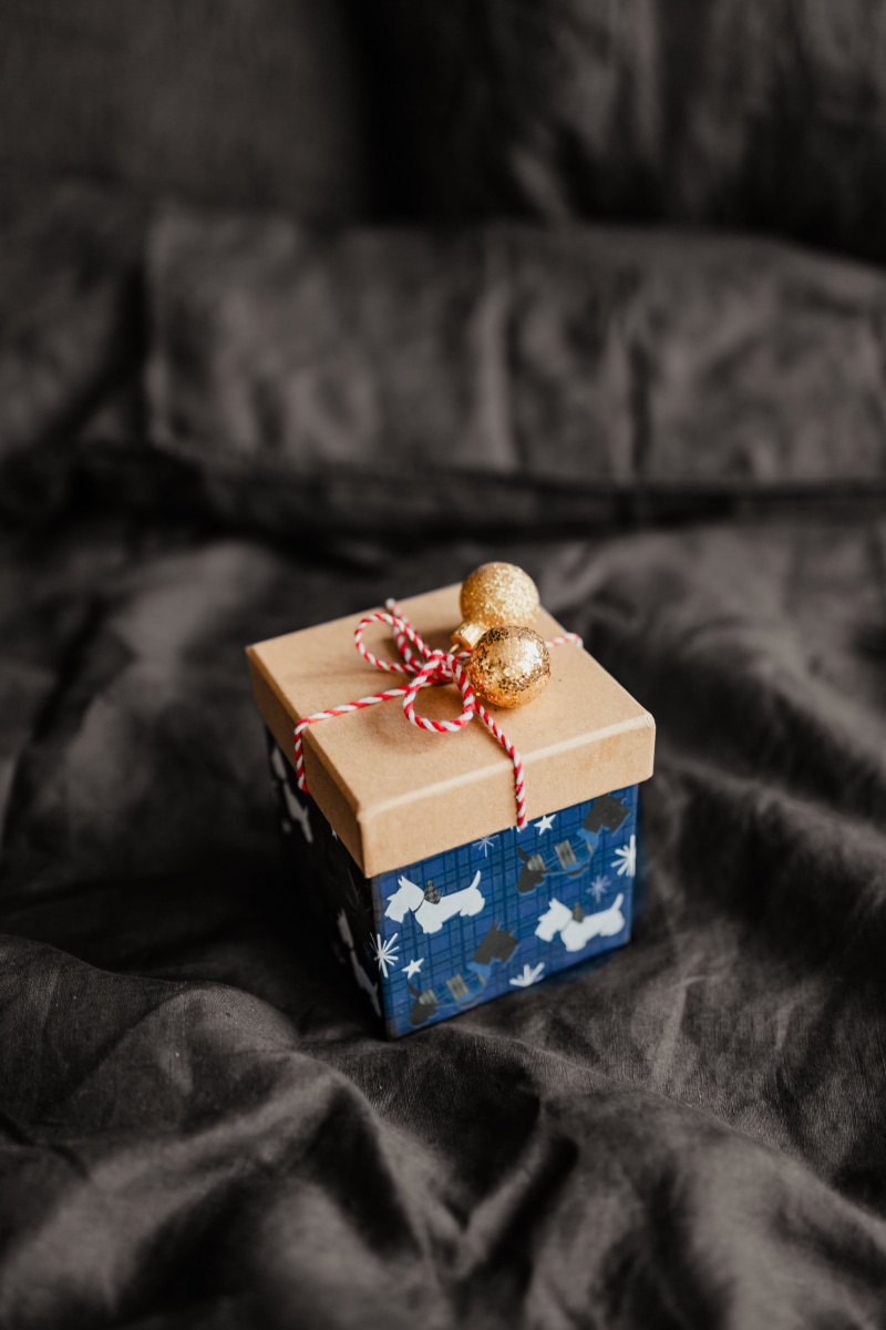 food and drink, on bed, small dog, black, cute, 5K, bed, gift, indoors, paper, selective focus, box - container, december, animal, surprise, christmas