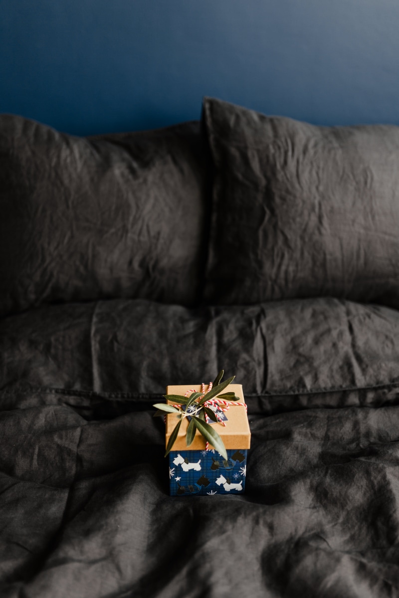 gifts, cute, animal, paper, dog, box, pillow, no people, small dog, flag, box - container, bedroom, sofa, celebration, indoors, ribbon - sewing item, gift