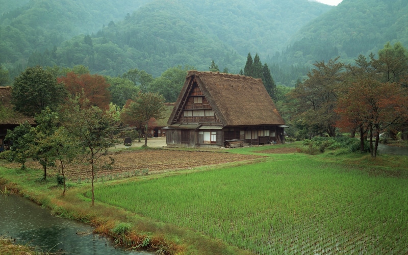 environment, mountain, day, 2K, rural scene, no people, landscape, nature, building exterior, house, plants, Japan, grass, plant, architecture, outdoors