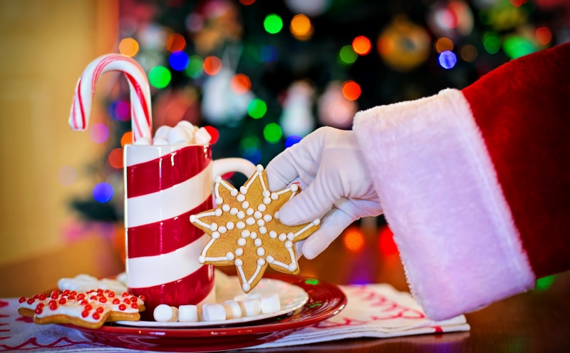 Christmas, December, beverage, santaclaus, Hand, Warm, Shiny, Xmas, Colorful, Cozy, Sweet, Merry, Amazing, Santa, treats, delicious, MerryChristmas, endoftheyear
