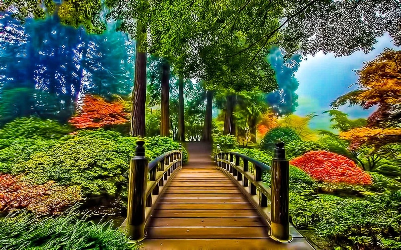 bridge, rails, garden, nature, bushe, trees, yellow, landscape, orange, misty, autumn, green, 1080P, prosperity, beauty