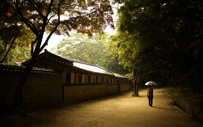 Korea, the Palace of prospering virtue, umbrella, solace, Seoul, changdeokgung, changdeok Palace, wall, 2K, girl