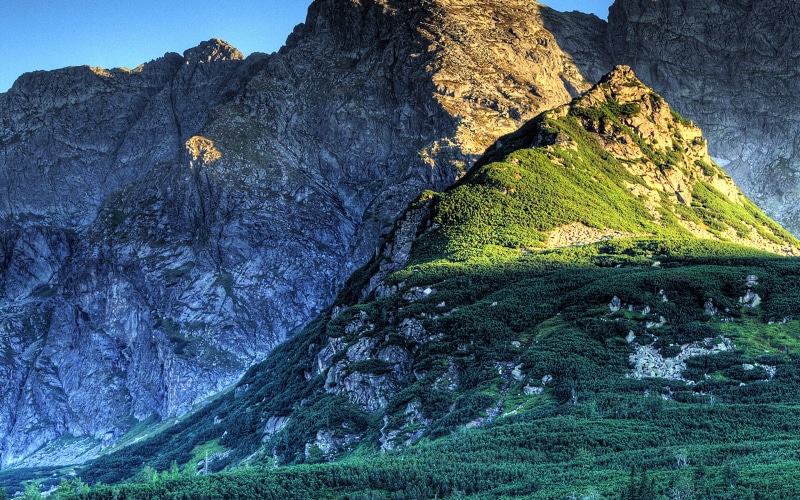 no people, land, scenics - nature, rocky mountains, eroded, prosper, geology, plant, tranquility, solid, nature, non-urban scene, tranquil scene, day, mountain peak