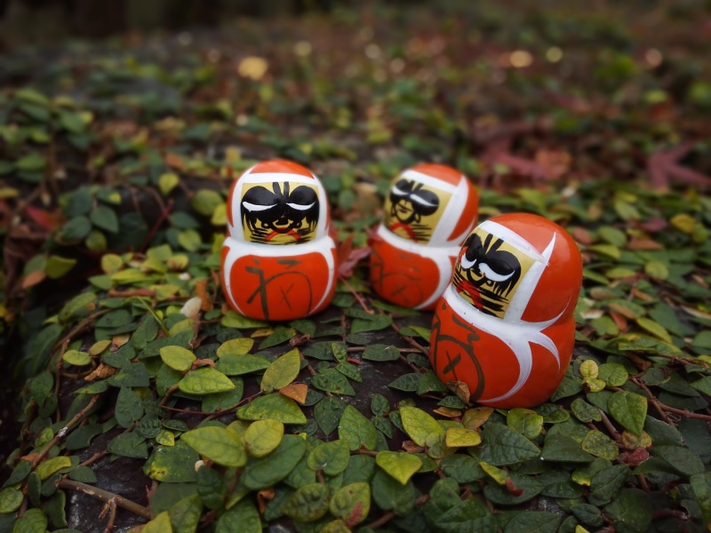 daruma doll, still life, close-up, food, plant part, japan, leaves, autumn, focus on foreground, representation, creativity, outdoors, day, food and drink