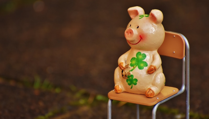 auspicious symbols, representation, cute, 5K, piglet, shamrocks, lucky pig, focus on foreground, lucky clover, indoors, food and drink, lucky charm, nature