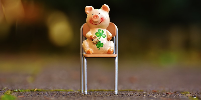 sitting, day, piggy Bank, seat, shamrocks, sit, one animal, figure, nature, domestic animals, four leaf clover, pig, single object, coin Bank, lucky clover