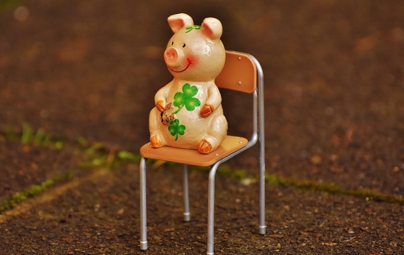 new years eve, cute, still life, human representation, representation, shamrocks, toy, green, nature, luck, figurine, 4K, new year, healthy eating, clover
