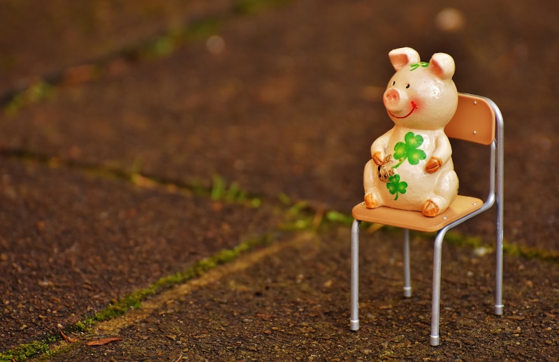four leaf clover, white, representation, sit, outdoors, new year, small, lucky clover, shamrocks, seat, lucky charm, day, dirt, lucky pig, figurine, clover