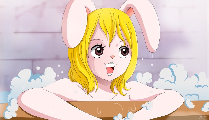 sugoi, rescue team of Sanji, asiatic, by melonciutus, ears, japanese, manga, Mink Bunny, The Study Dukedom, warrior, fluffy, 1080P, blonde, prettty, foam