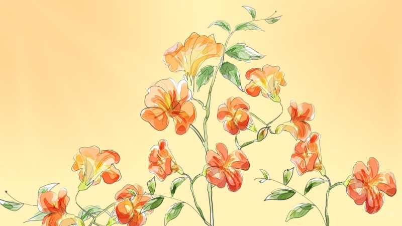 1080P, 3d and abstract, flowers, trumpet, chinese, painted, creeper, firefox persona, artistic, oriental, vine