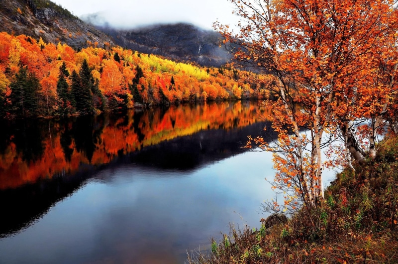 hills, trees, river, 1080P, forest, water, fall, beautyful, leaves, colors